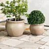 Beige Kruka Utomhus 37x28cm - Alessa
