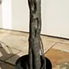 Konstväxt Fikusträd 180cm