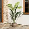 Konstväxt Areca Palmträd 180cm