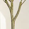 Konstväxt Olivträd 120cm
