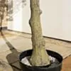 Konstväxt Olivträd 180cm
