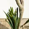 Konstväxt Dracena Träd 180cm
