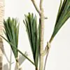 Konstväxt Dracena Träd 180cm