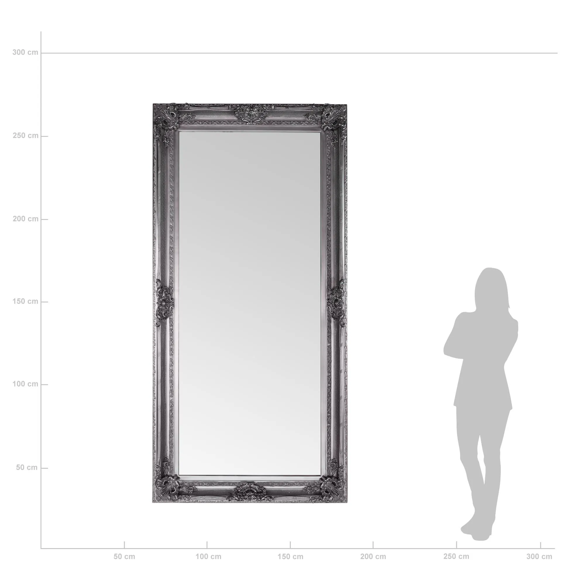 Stor Helkroppsspegel 120x240cm Silver King