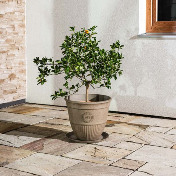 Beige Kruka Utomhus 41x35cm - Antonella