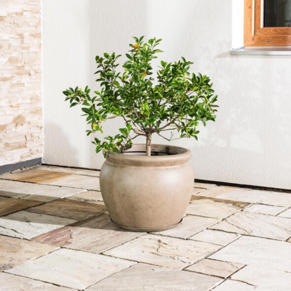Beige Kruka Utomhus 48x37cm  - Alessa