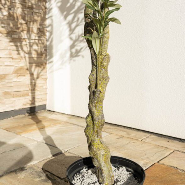 Konstväxt Olivträd 210cm