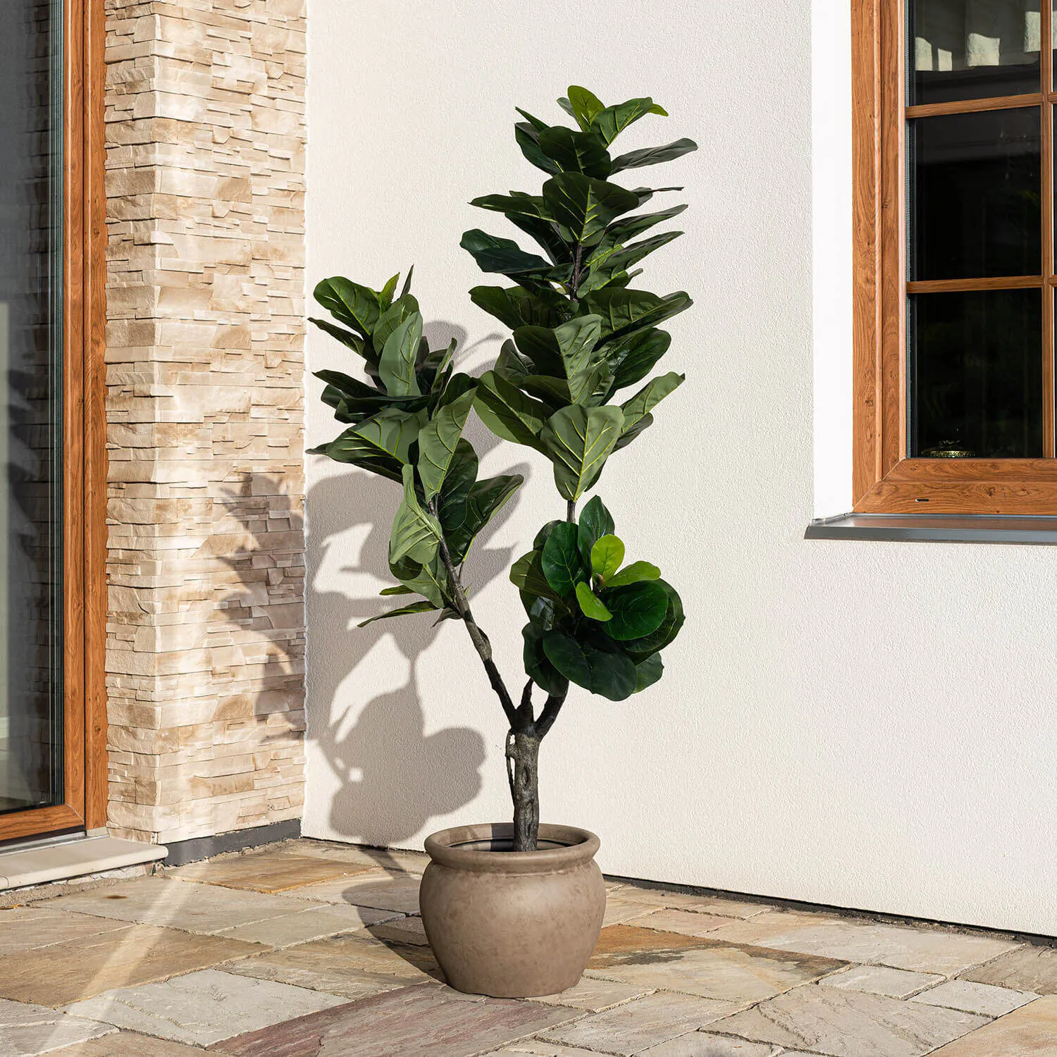 Konstväxt Fikusträd 180cm