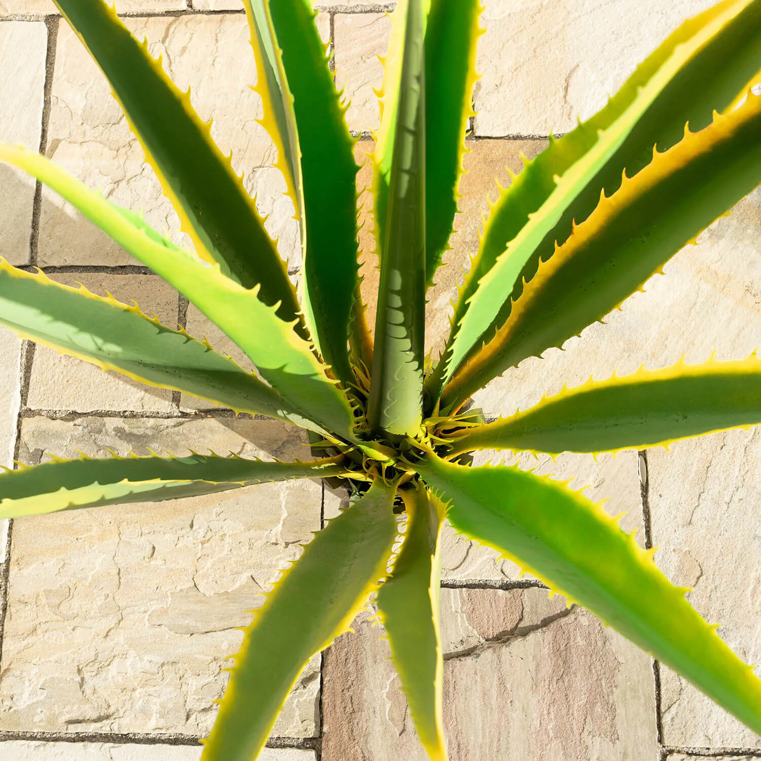 Konstväxt Kaktus Agave 120cm
