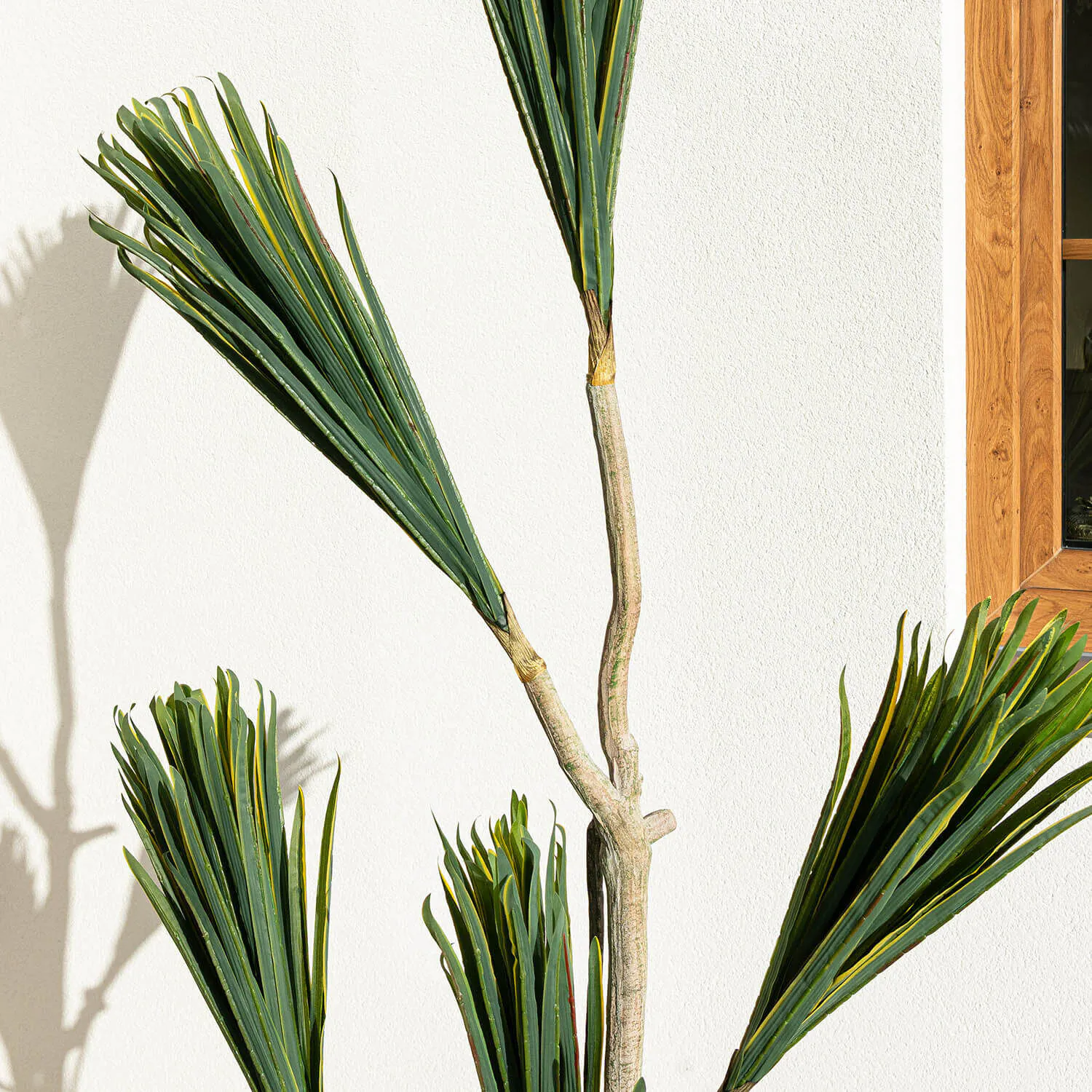 Konstväxt Dracena Träd 180cm