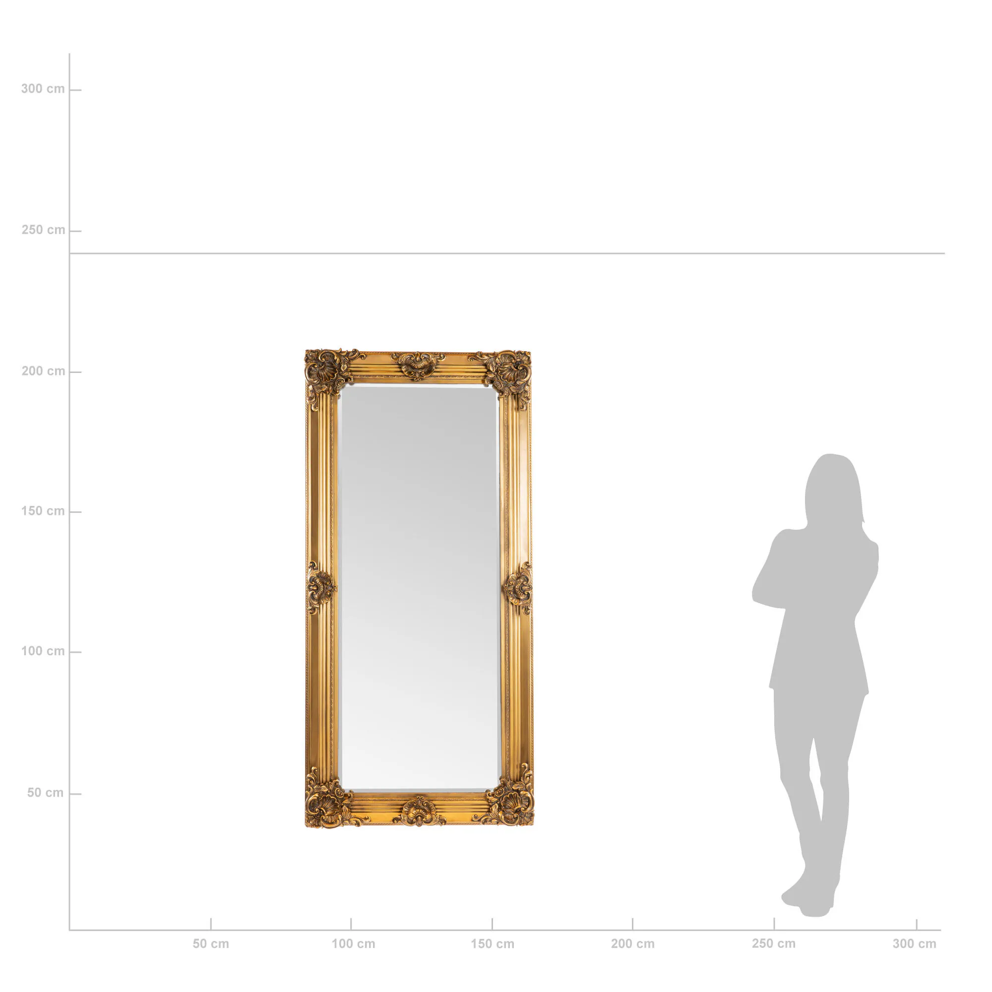 Helkroppsspegel 80x170cm Guld Trä Queen