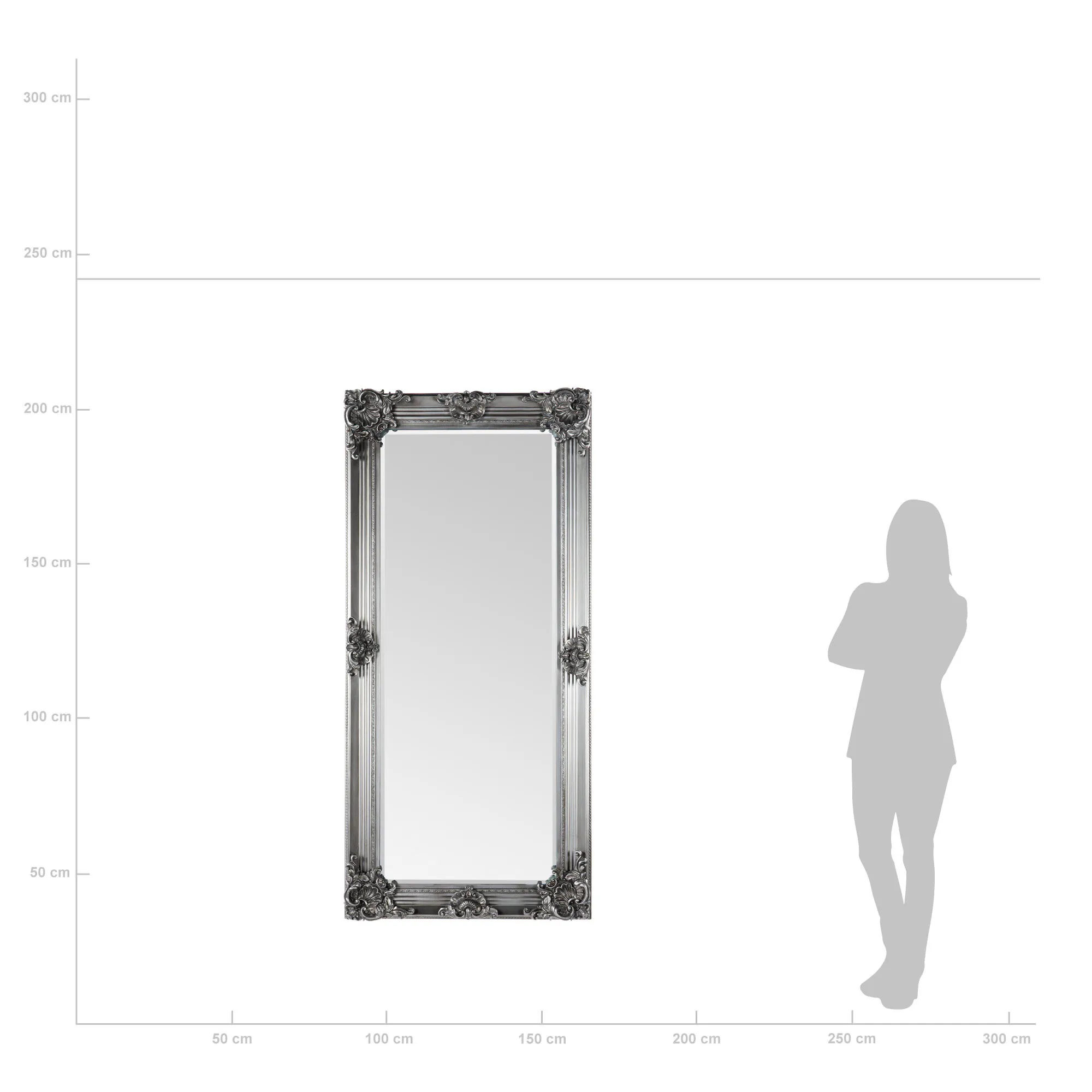 Helkroppsspegel 80x170cm Trä Silver Queen